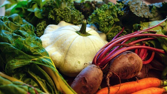 Herbstgemüse Kürbis, Mangold, Rote Beete, Karotten, Grünkohl, Palmkohl auf dem Küchentisch.