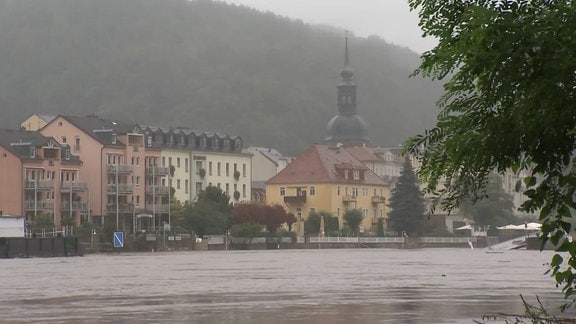 Bad Schandau Kulisse mit hoher Elbe