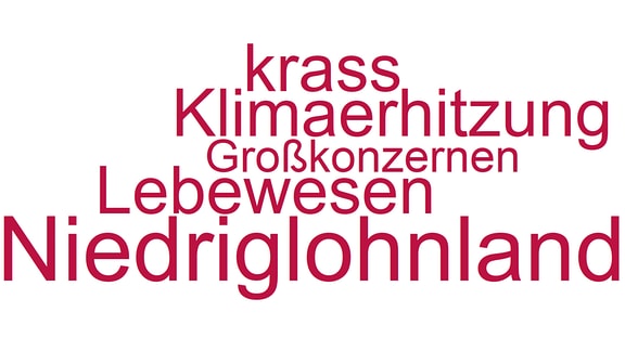 Kampfbegriffe Linke-Politiker Landtag Sachsen Wortwolke