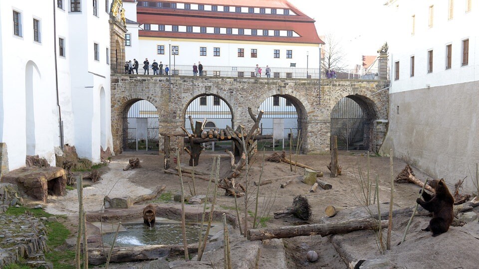 Neues Gehege für Bären auf Schloss Hartenfels | MDR.DE