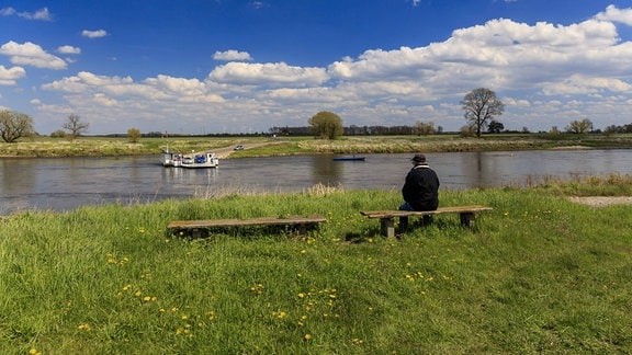 Elbe-Gierseilfähre Prettin, 2016