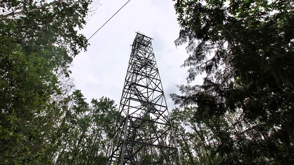 Die Waldbrand-Überwachungskameras sind auf hohen Türmen angebracht. Der Stahlgitter-Turm bei Tiefensee ist 37 Meter hoch.