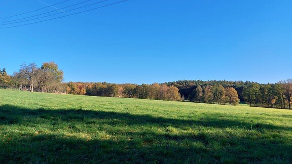 Landschaft
