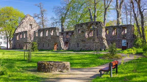 Ruine des Klosters Nimbschen, Mauerreste auf einer Wiese, vor blauem Himmel