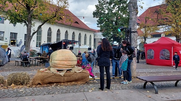 Halloween-Spektakel im Zoo Leipzig