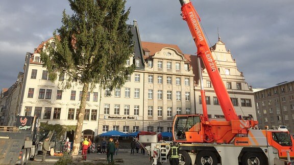 Ein Kran der Feuerwehr stellt den Baum für den Leipziger Weihnachtsmarkt 2019 auf dem Markt auf.