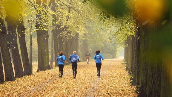 Drei Läuferinnen sind im nebelig-trüben herbstlichen Auwald in Leipzig unterwegs