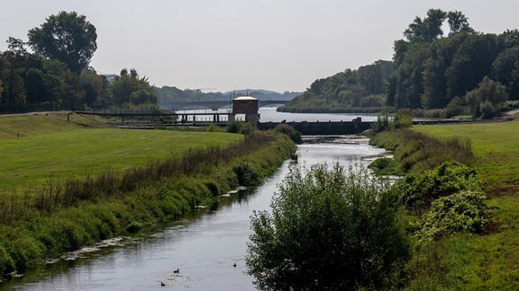 Blick auf das Luppewehr im Auwald in Leipzig. Zur Rettung des Leipziger Auwalds nehmen die Stadt und der Freistaat Sachsen ein neues Naturschutzprojekt in Angriff. Bis November soll eine sogenannte Projektskizze beim Bundesamt für Naturschutz eingereicht werden.