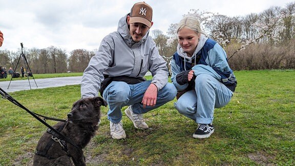 Ein Mann und eine Frau schauen sich einen kleinen Hund an. 