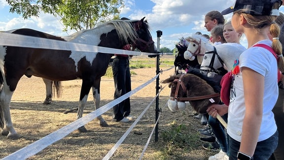 Steckenpferd-Training in Leipzig 