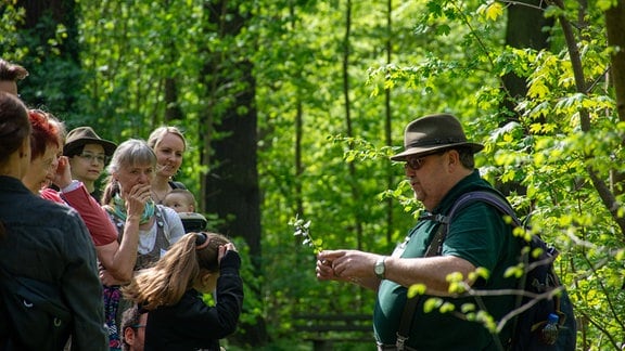 Förster Ralf Herrmann steht im Wald und zeigt welche Pflanzen essbar sind.