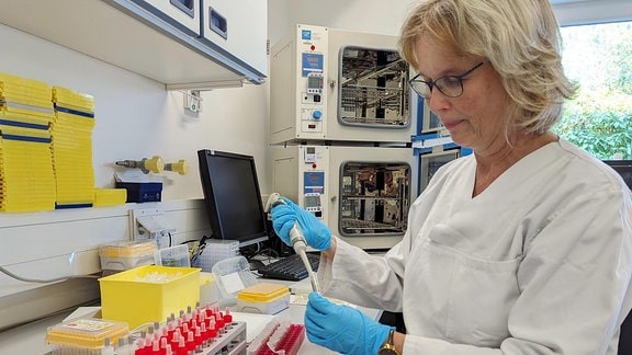 Eine Frau mit lange, blonden Haaren untersucht Laborproben in einem Laborraum. 