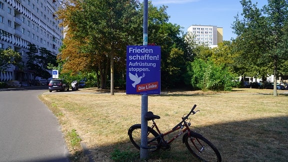 Wahlplakat der Linken an einem Laternenmast