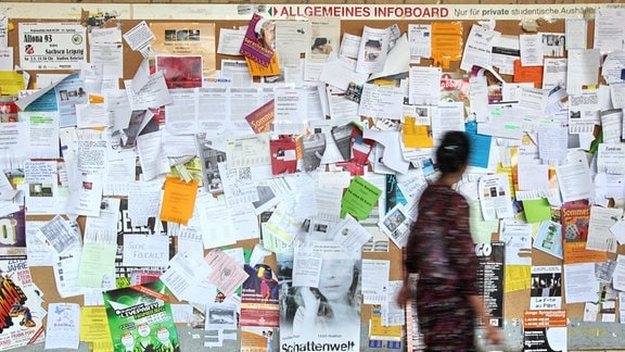 Eine Studentin läuft an einer Info-Wand vorbei, die in einem Gebäude der Universität Hamburg hängt.