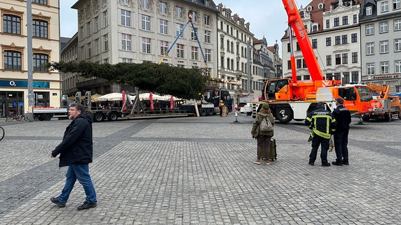 Weihnachtsbaum wird in Leipzig aufgestellt.