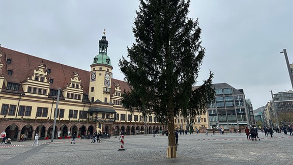 Weihnachtsbaum wird in Leipzig aufgestellt.