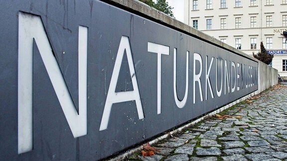 Das Naturkundemuseum in Leipzig ist in der ferne zu sehen. Groß im Bild ist eine Mauer, die dahin führt, auf der "Naturkundemuseum" in Großbuchstaben steht.