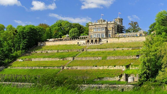 Lingnerschloss in dresden
