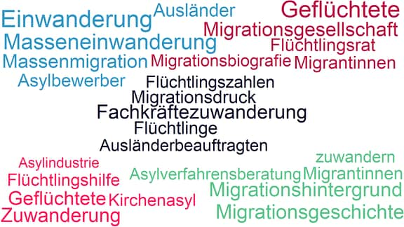 Mit welchen Worten die Parteien im Landtag über Migration sprechen