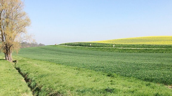 Eine Straße führt zwischen grünen und gelben Feldern entlang.