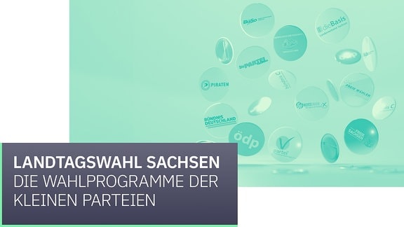 Auf Buttons sind die Logos zwölf kleiner Parteien zu sehen, die bei der Landtagswahl Sachsen antreten.