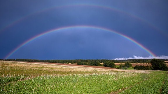 Regenbogen über einer Feldlandschaft