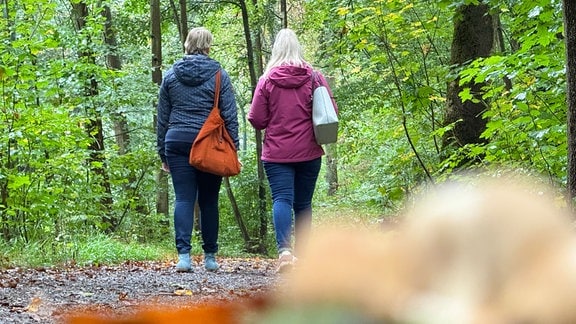 Zwei Menschen spazieren im Wald