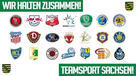 Teamsport Sachsen