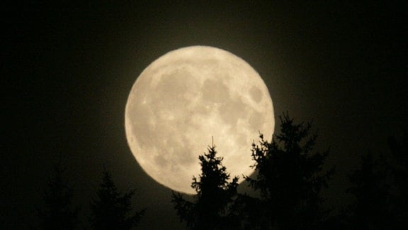 Ein Mond steht groß und rund am Nachthimmel. 