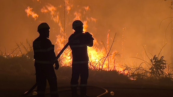 Zwei Feuerwehrmänner bekämpfen eine Waldbrand