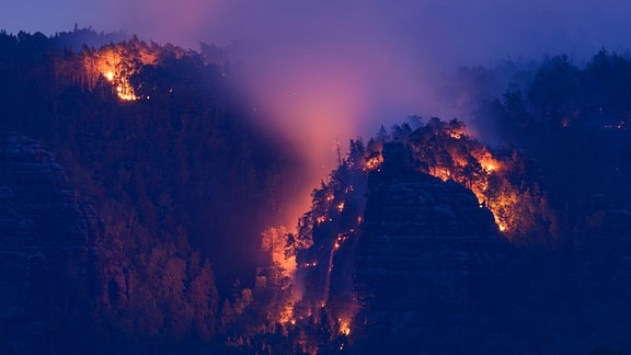 Waldbrand im Nationalpark Sächsische Schweiz