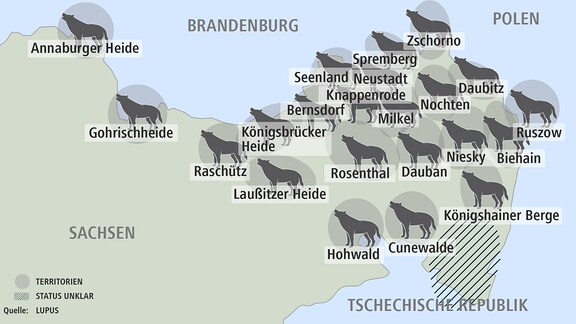 Wölfe in Sachsen
