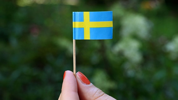  eine Hand hält eine kleine Flagge Schwedens