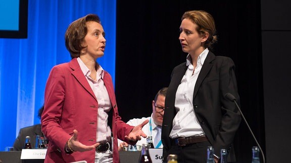 AfD-Spitzenpolitikerinnen Beatrix von Storch und Alice Weidel 2016