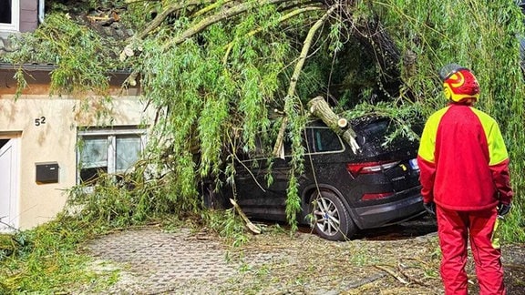 In Pößneck ist bei stürmischen Wetter am Montagabend eine groÃe Trauerweide auf zwei Fahrzeuge und ein Haus gestürzt. 