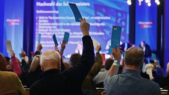 Parteimitglieder stimmen ab im Saal des Hotel Pfiffelburg während des Landesparteitags der AfD. 