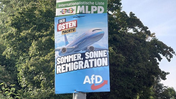 AfD Wahlplakat -  Sommer Sonne Remigration