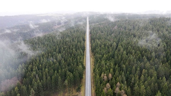 Nebelschwaden über dem Thüringer Wald