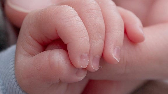 Hand eines Babys drückt Finger einer Frau