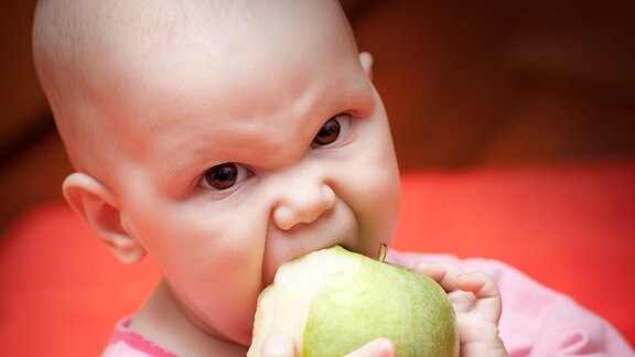 Ein Kleinkind beißt in einen Apfel.