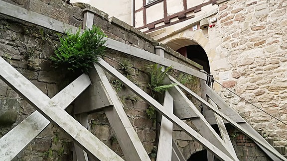 Brücke zur Bertholdsburg in Schleusingen wird saniert Zunächst werden Teile des alten Bauwerks abgetragen und die Gewölbebögen freigelegt. Nach Auskunft der Stiftung Thüringer Schlösser und Gärten halten nur noch Notstützen die einsturzgefährdete Brücke. Während der Bauarbeiten bis Ende des Jahres bleibt die Brücke für Besucher gesperrt.