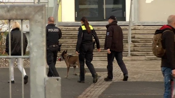 Polizisten mit Spürhunden gehen in ein Gebäude