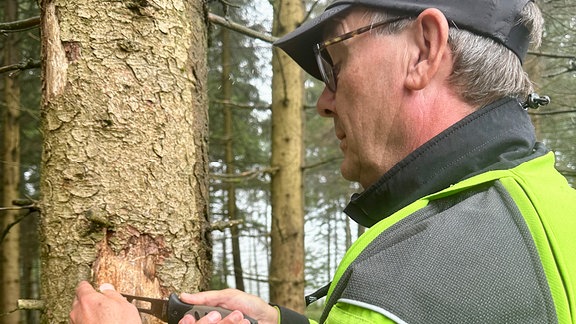 Ein Mann schnitzt mit einem messer an einem Baum.