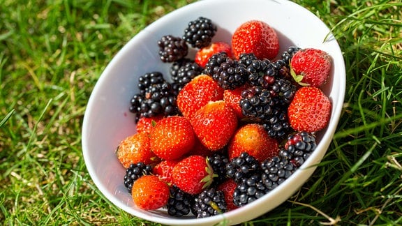 Schüssel mit Erd- und Brombeeren