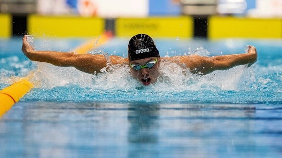 Schwimmer David Thomasberger.