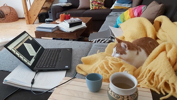 Franz und Zuzana Löbling in verschiedenen Situationen.