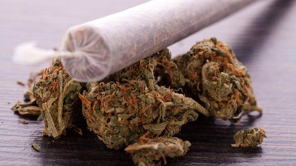 Ein Joint auf getrockneten Cannabisblüten.