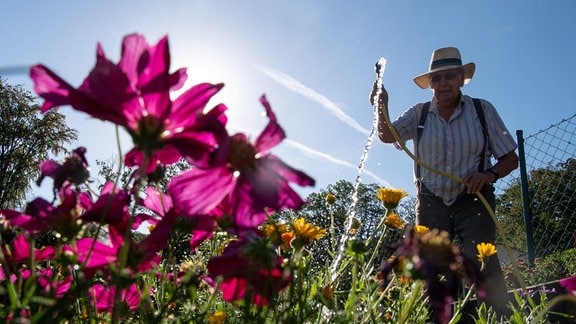 Ein Mann gießt im Garten Blumen.