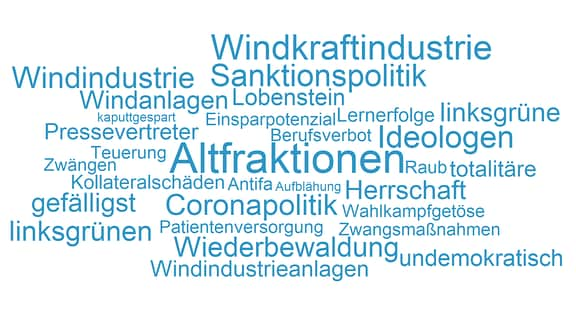 Kampfbegriffe AfD Thüringer Landtag Wortwolke