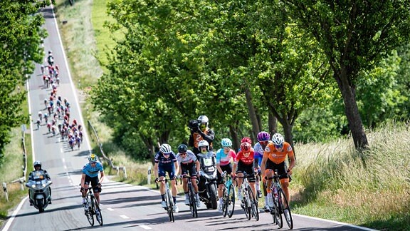 Rennradfahrerinnen fahren bei der Lotto Ladies Thüringen Tour eine Landstraße hoch, im Hintergrund sind weitere Rennfahrerinnen und Begleitfahrzeuge zu sehen. 